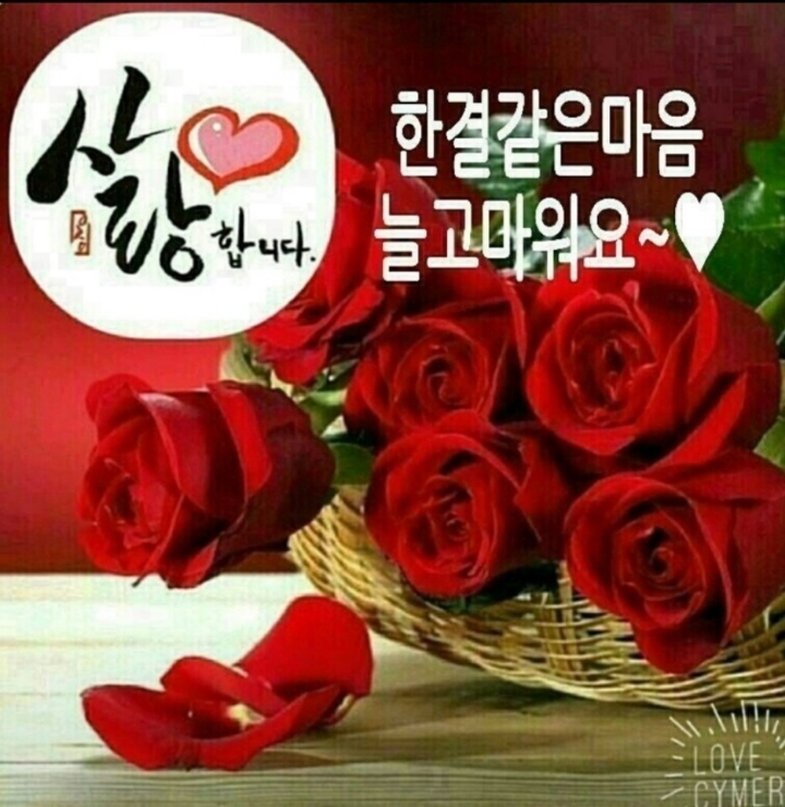 화요일 이미지