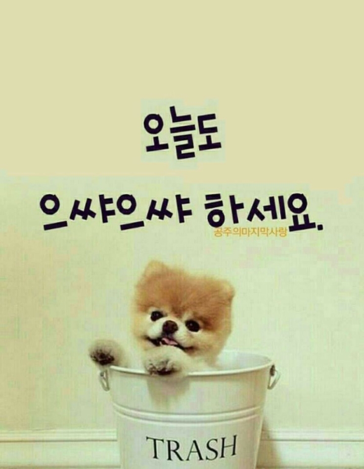 공감 이미지