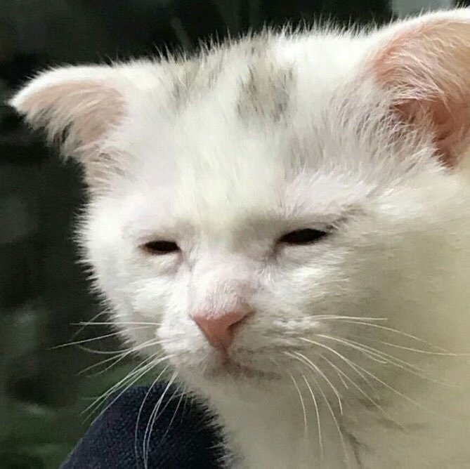에팩 이미지