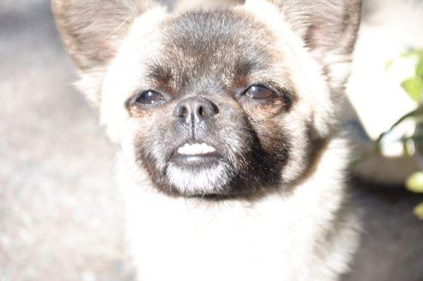 영쓰 이미지