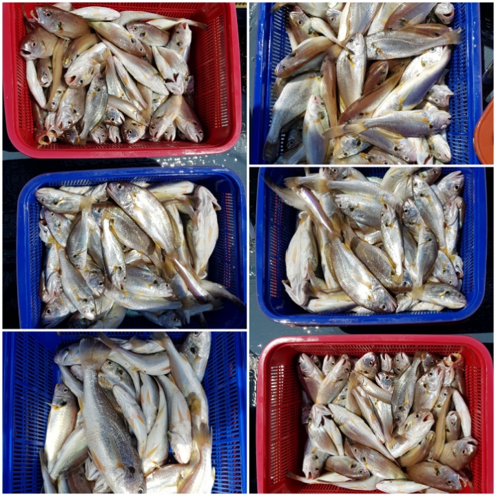백플러스 이미지