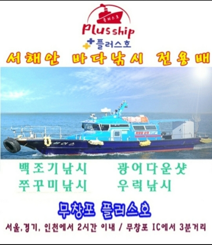 황금피싱 이미지