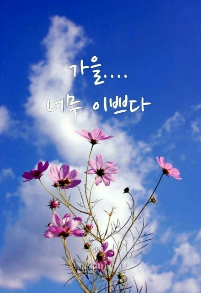 행복쉼터 이미지