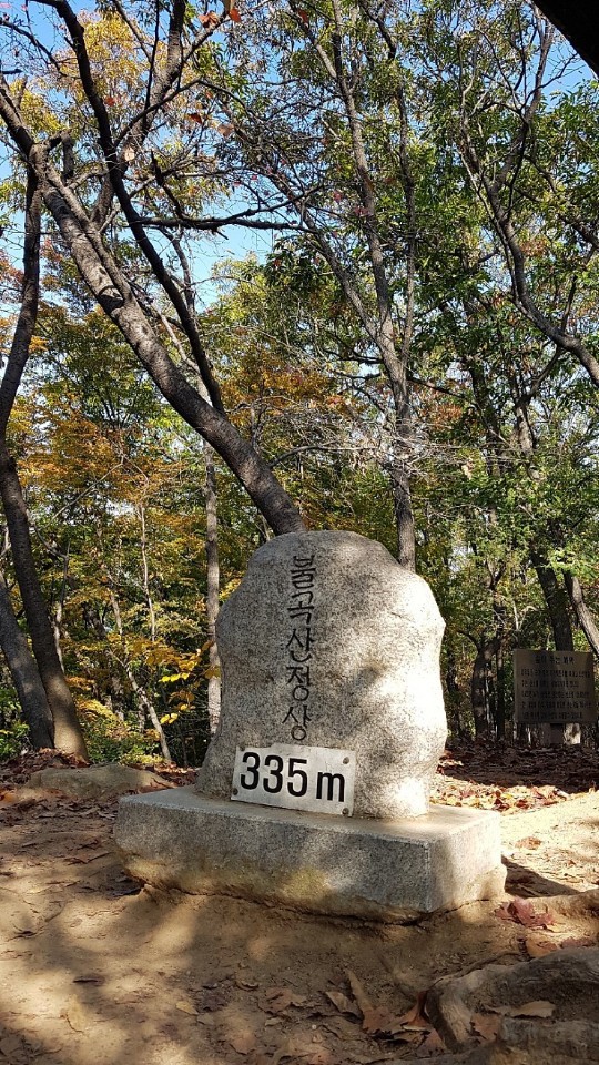 태재 이미지