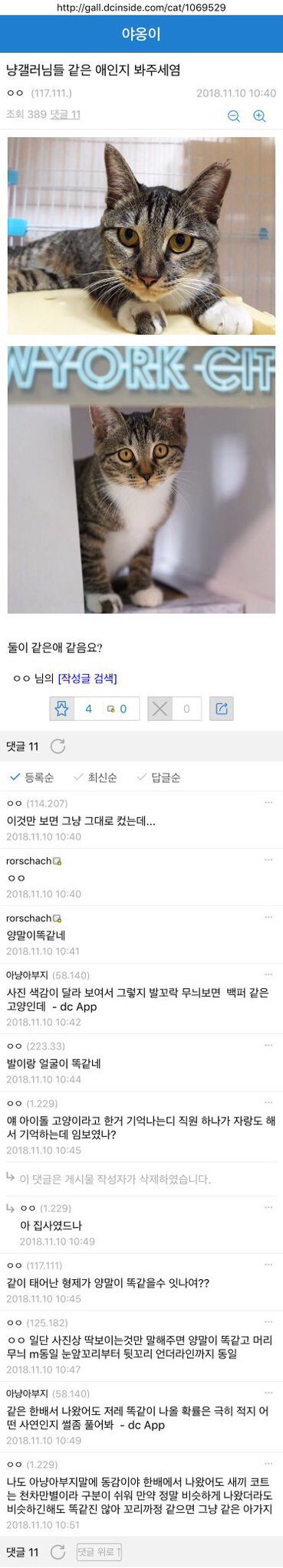 현재 역대급 논란들로 말 나오고 있는 김용국 | 인스티즈