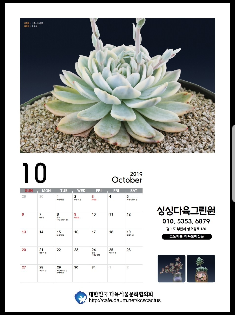 싱싱다육그린원 이미지