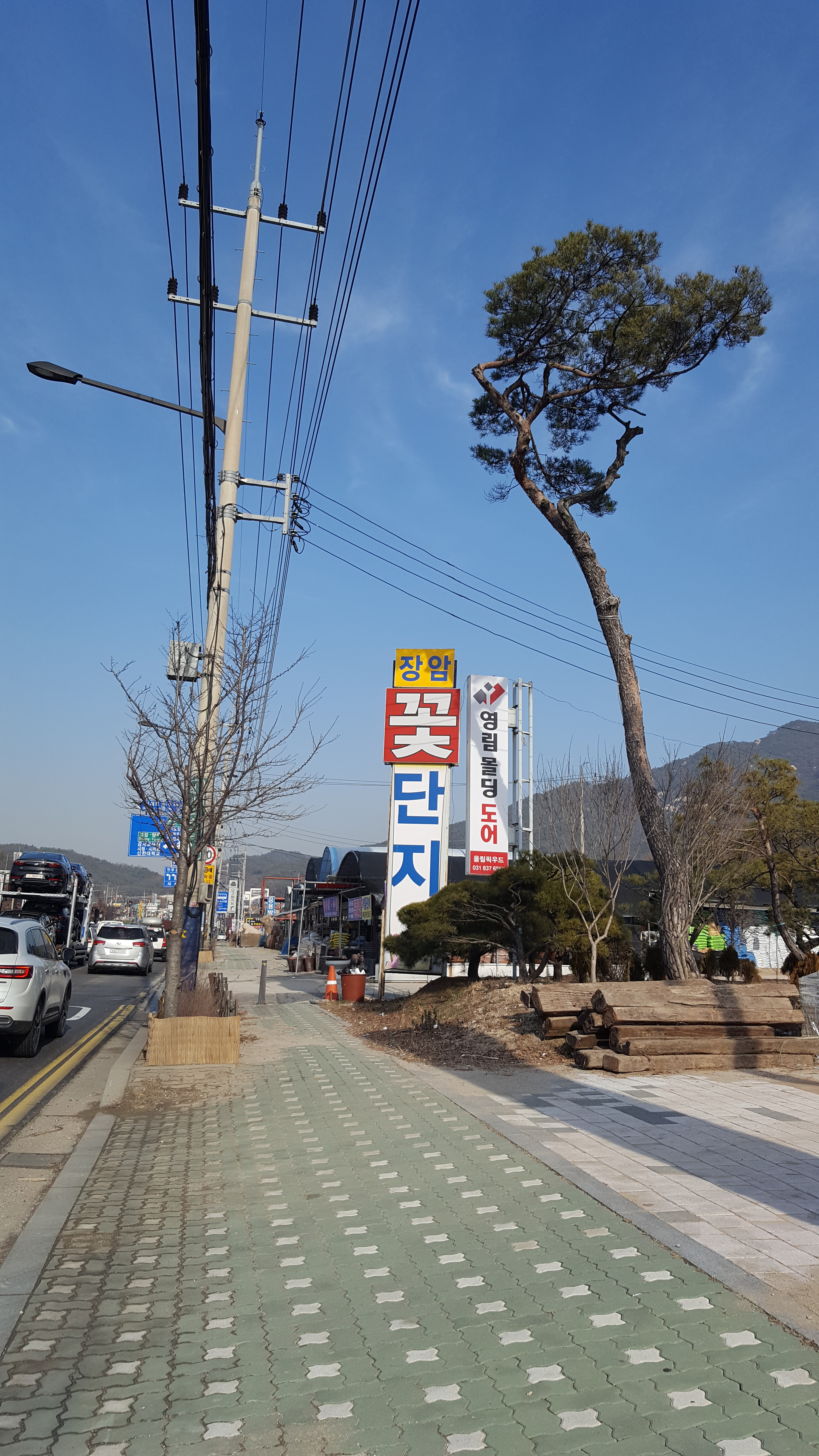 꽃단지농원 이미지