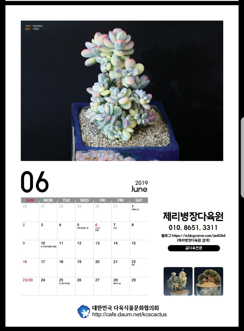 싱싱다육그린원 이미지