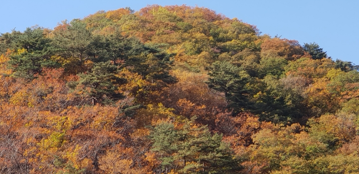 좋은아침 이미지