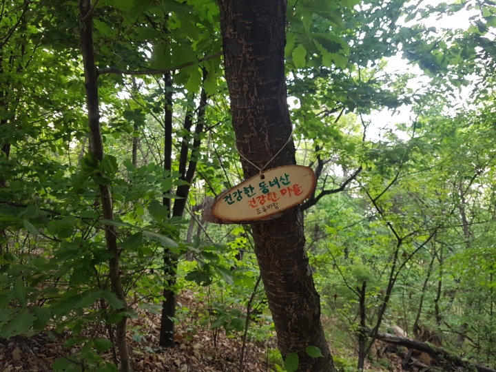 초록바람 이미지