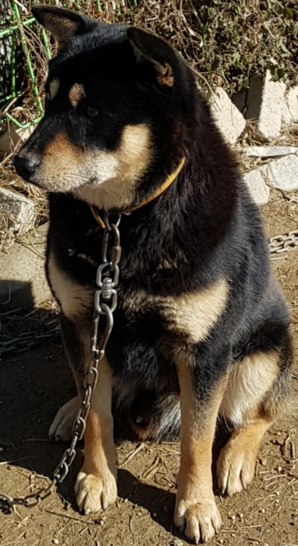 뭉치 이미지