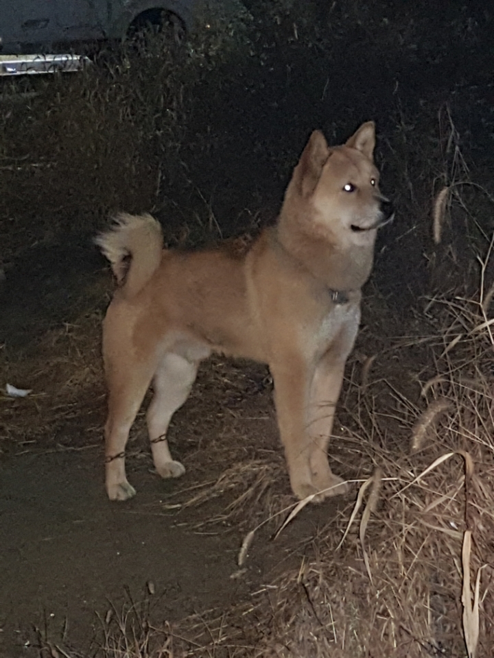 뭉치 이미지