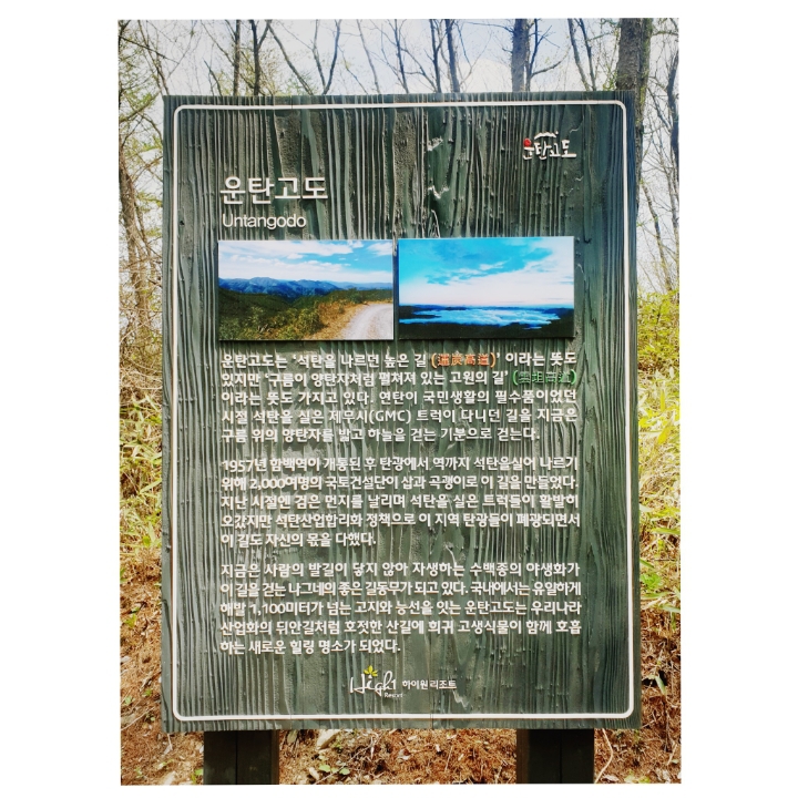에치알 이미지