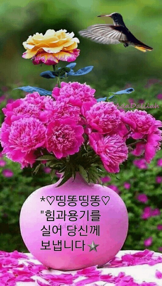 제법 이미지