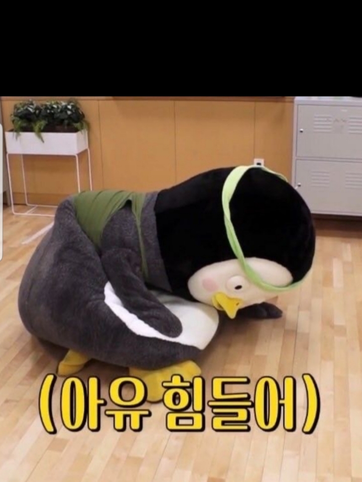 다마 이미지