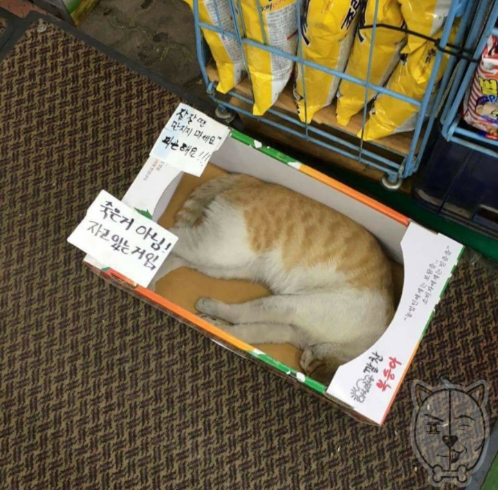 모니모니 이미지