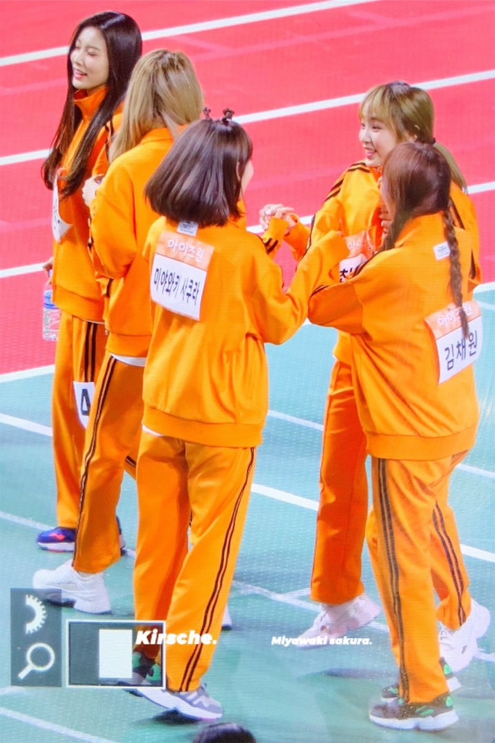 사쿠라 이미지