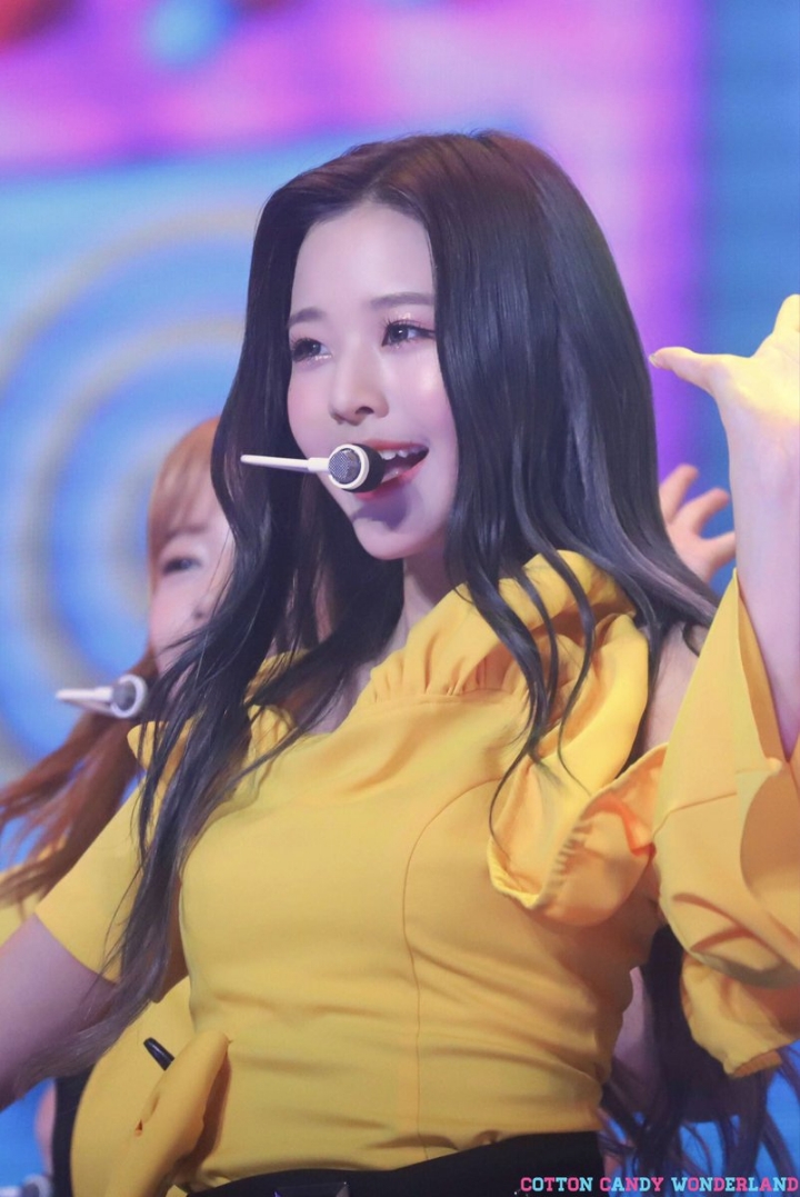 큐리어스 이미지
