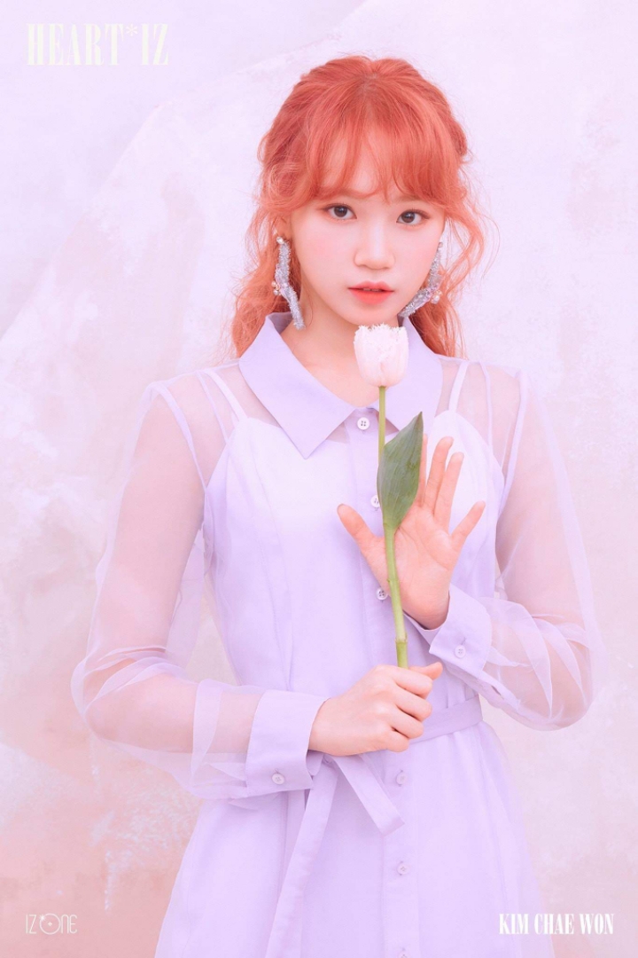 무야 이미지