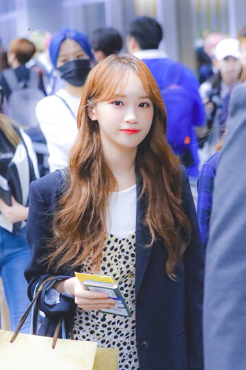 채원 이미지