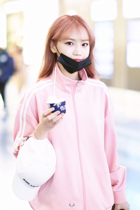채원가 이미지