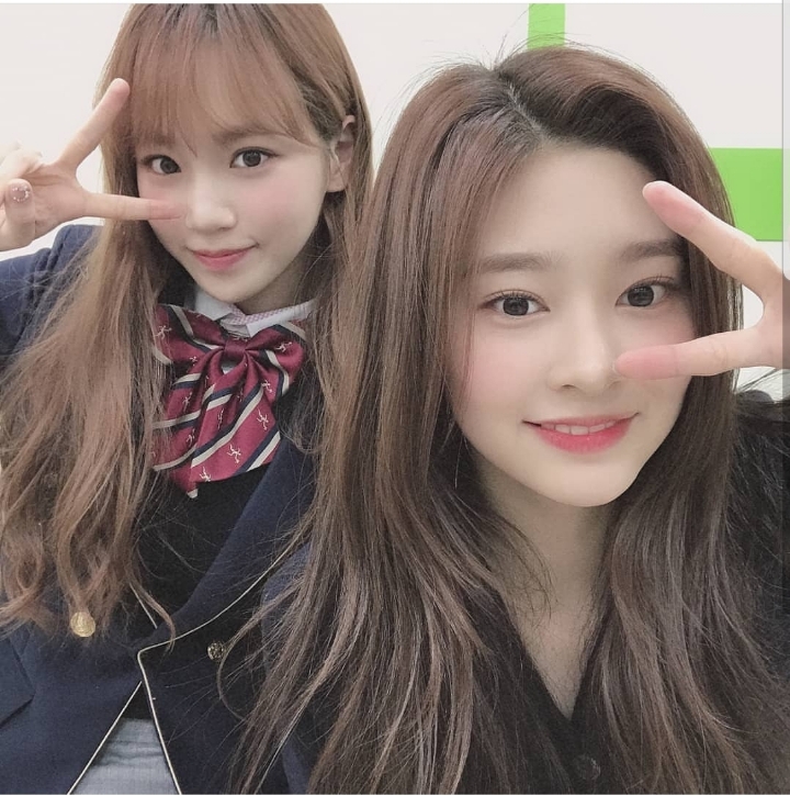 아이뻐라 이미지