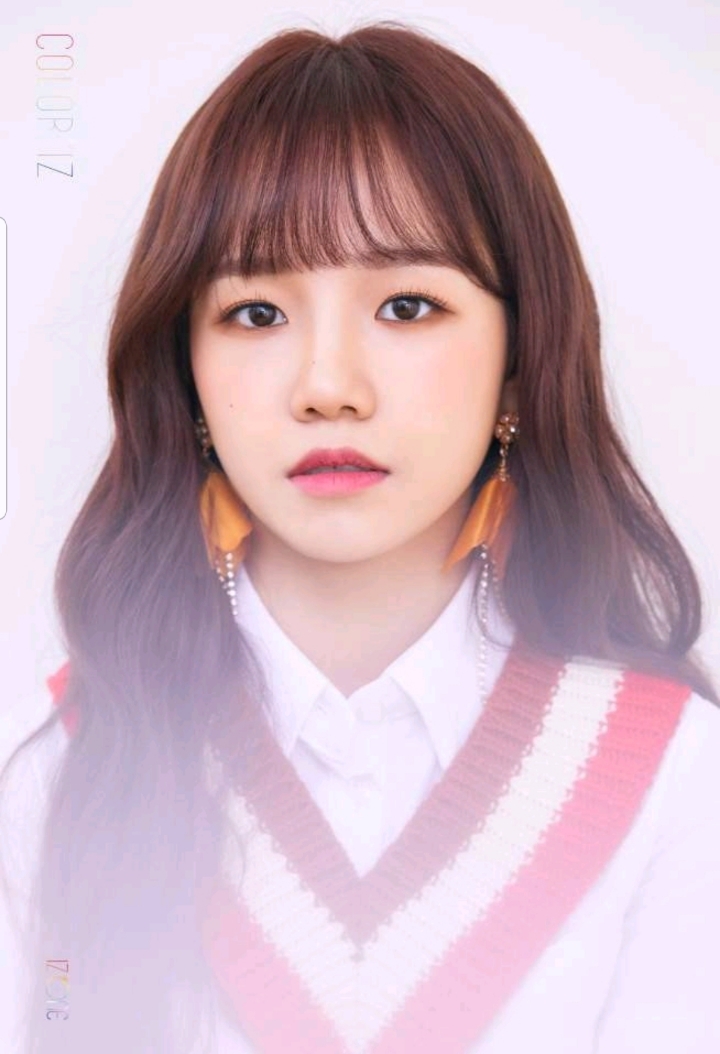 율 이미지