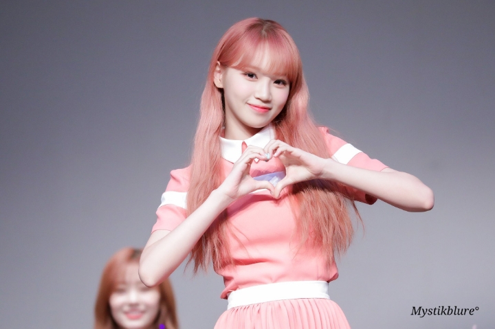 채원 이미지