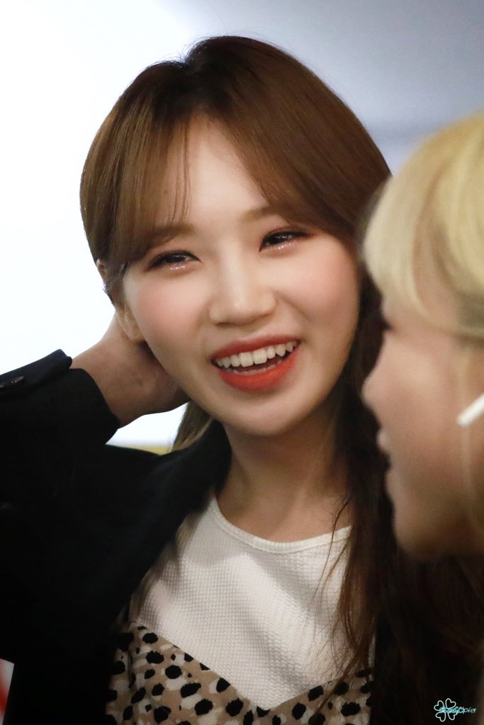 채원 이미지
