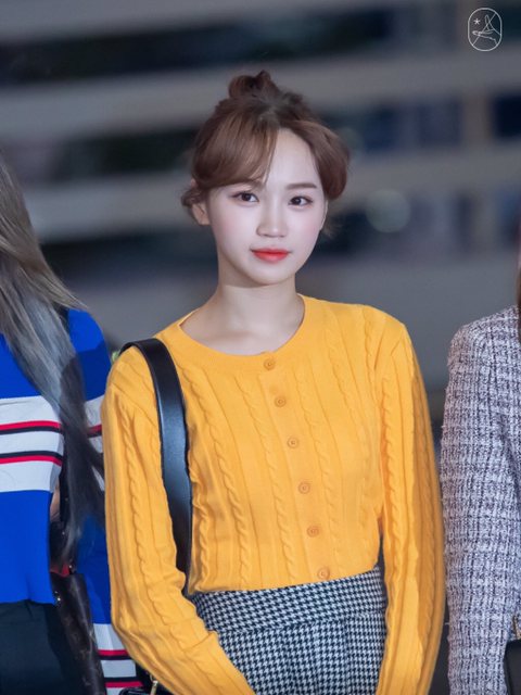 채원 이미지