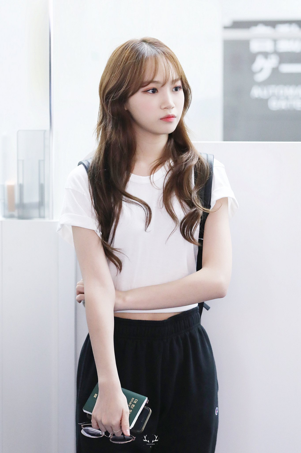 채원 이미지