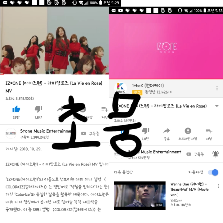 초뭉 이미지
