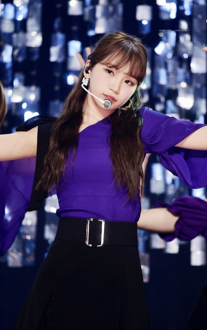 채원 이미지