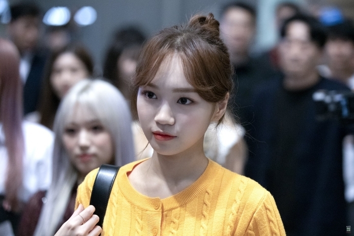 채원 이미지