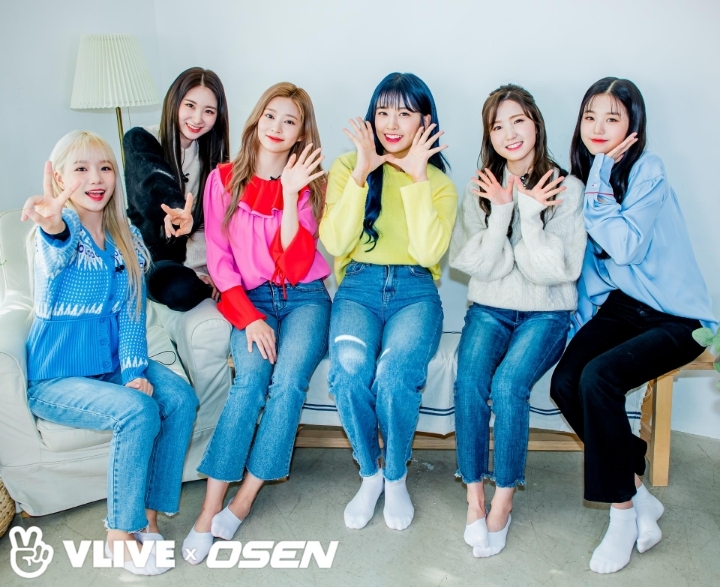 라이브스타 이미지