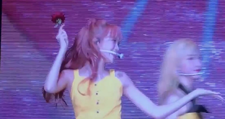 큐리어스 이미지