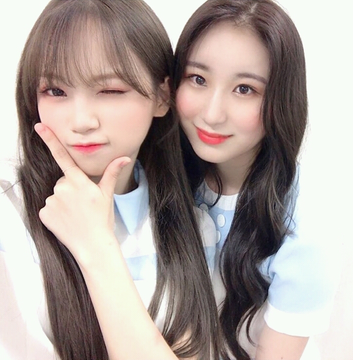 다음컴 이미지