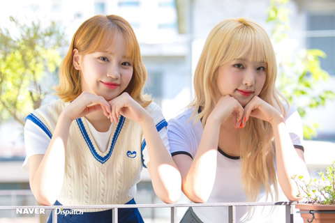 채원 이미지