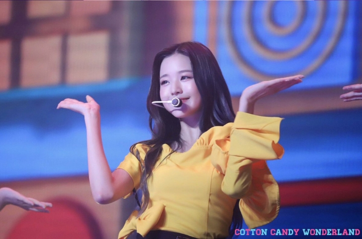 큐리어스 이미지