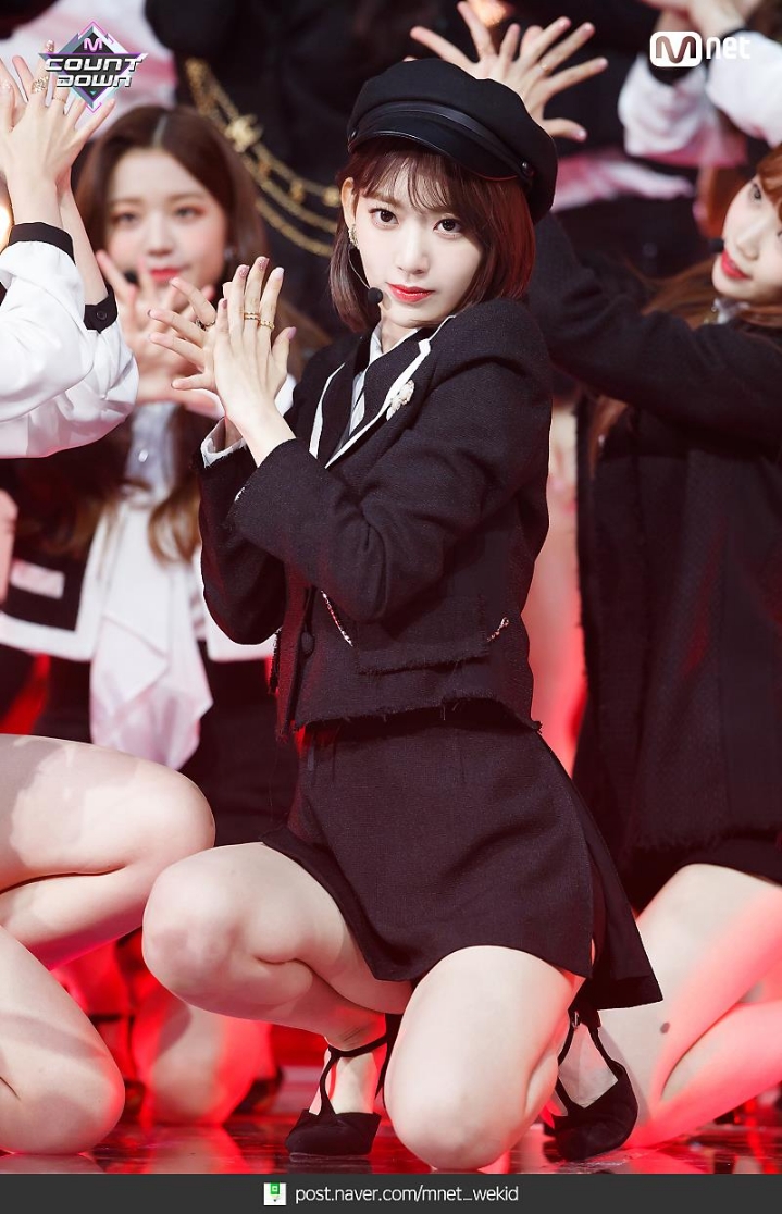 사쿠라 이미지