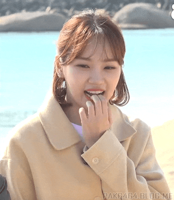 채원복권 이미지