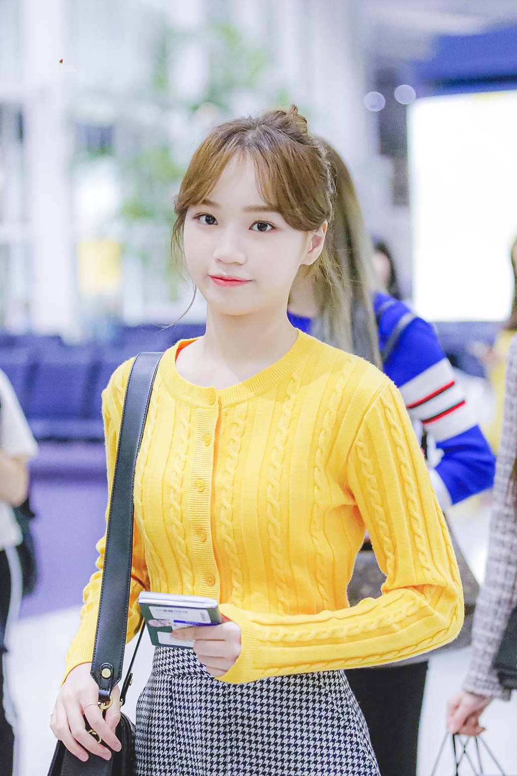 채원 이미지