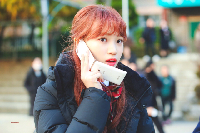 채원 이미지