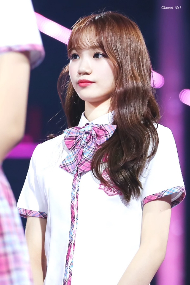 채원 이미지