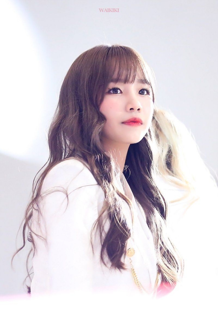 자자 이미지