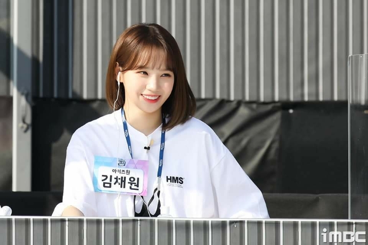 푸푸 이미지