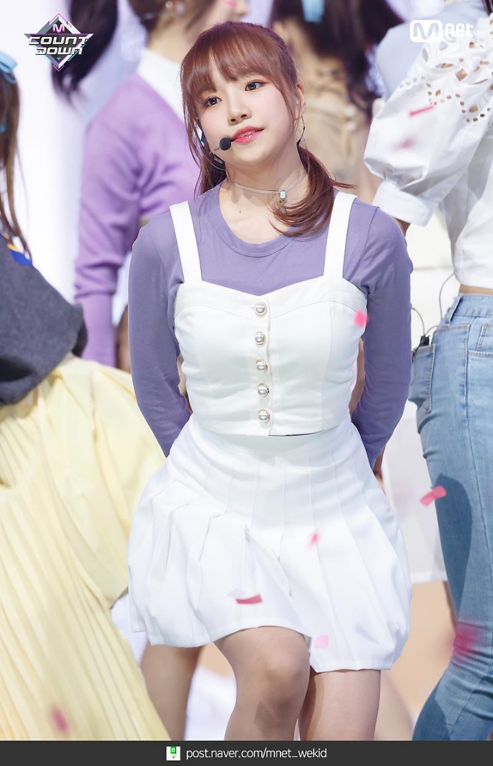 율 이미지