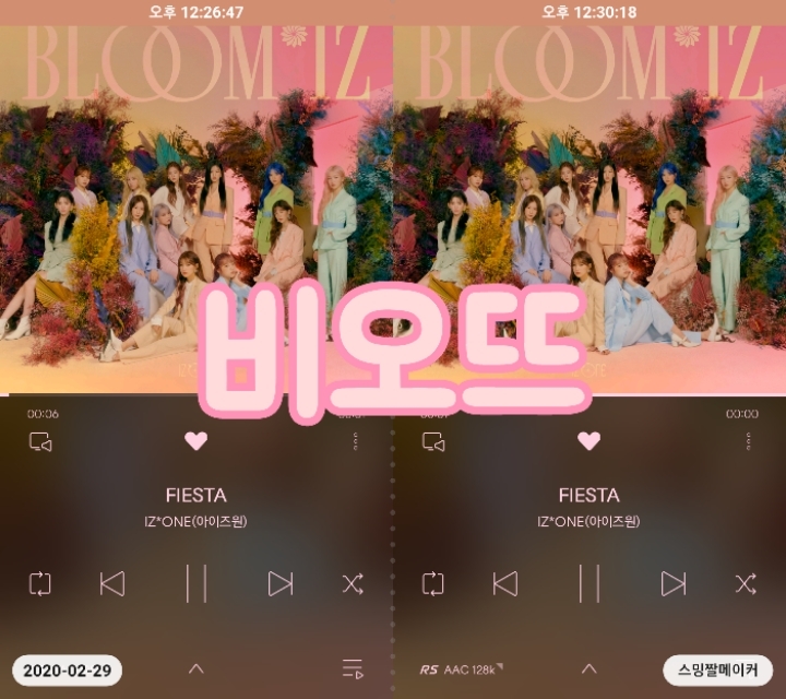 비1238 이미지