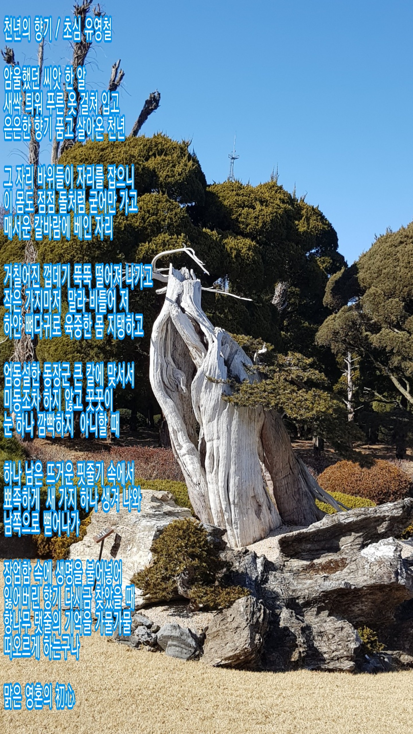 남쪽향기 이미지