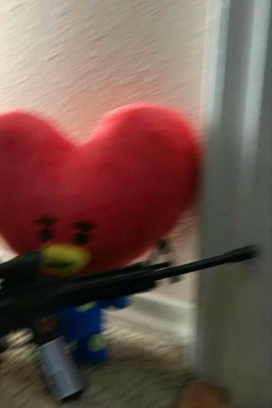 슈키 이미지